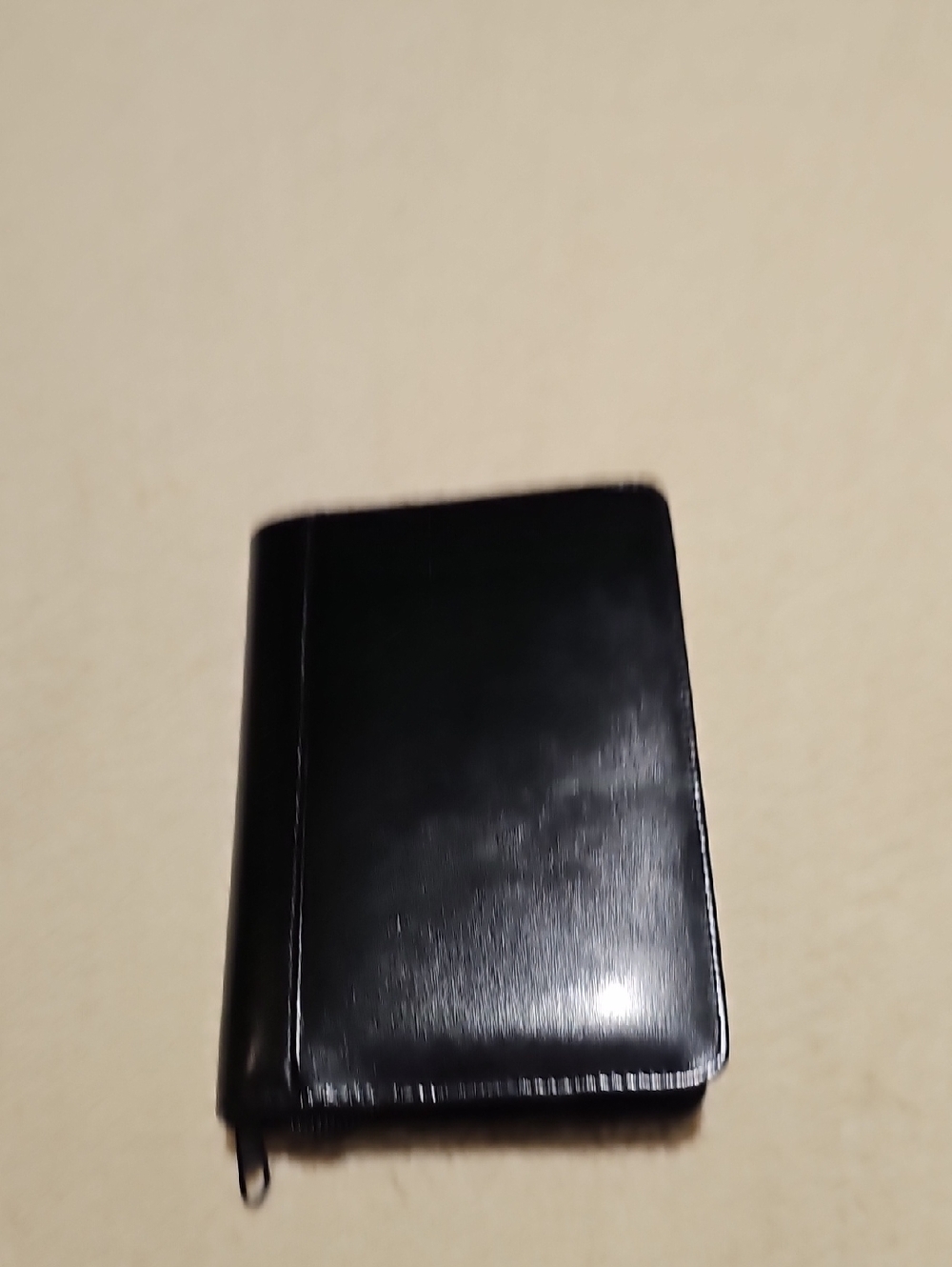 Black Zippered Leather Organizer